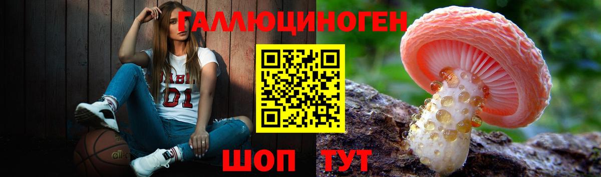 Соль-Илецк  Псилоцибиновые грибы GOLDEN TEACHER  Псилоцибиновые грибы Cubensis  Вход с VPN 